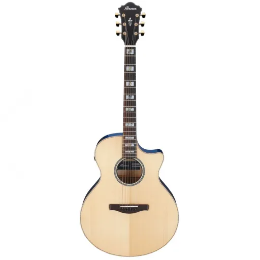 Elektro Akustik Gitarlar